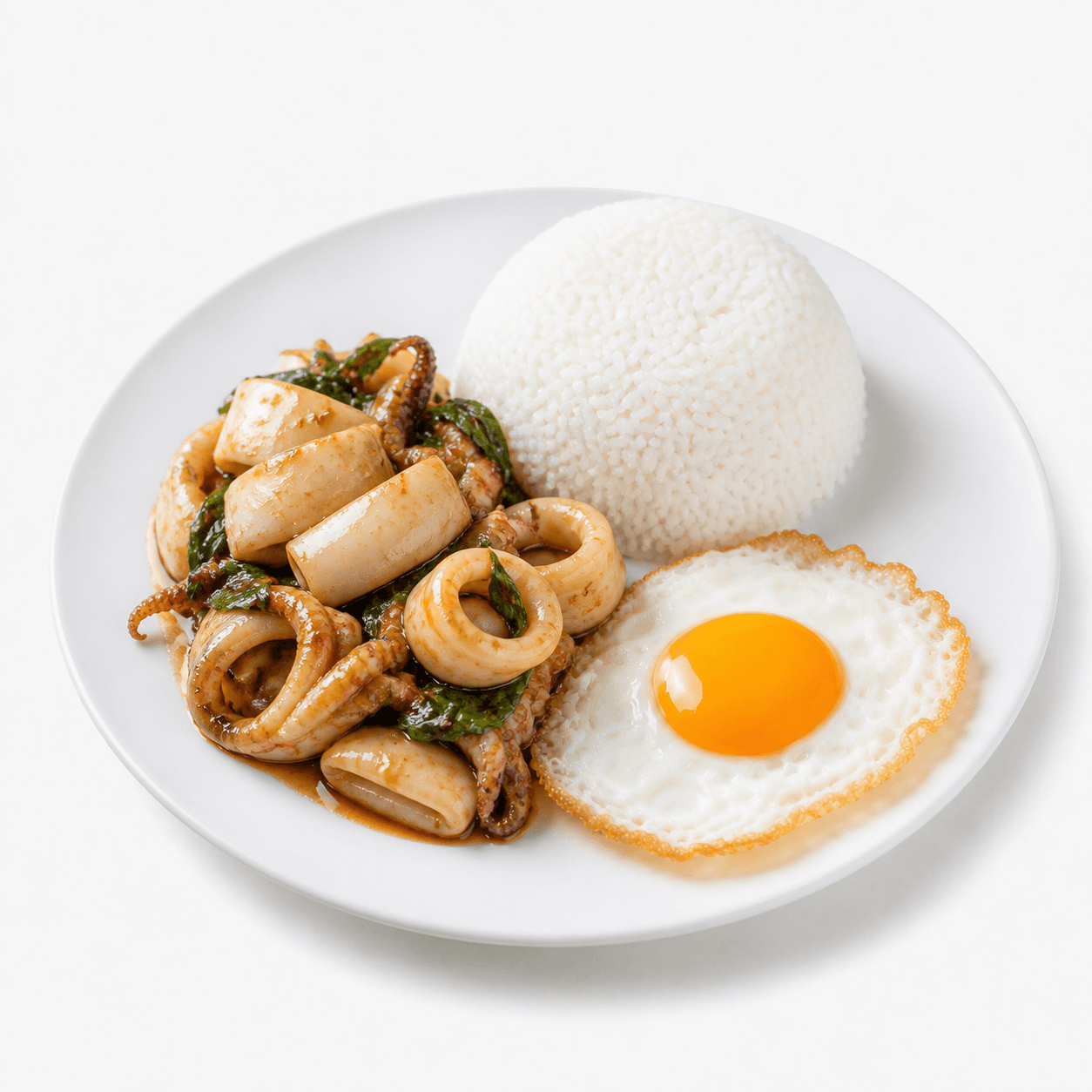 ข้าวราดกะเพราปลาหมึกศอก + ไข่ดาว